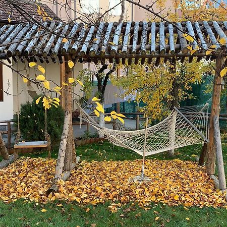 Prenociste Dm5 Bed & Breakfast Yeni Pazar Oda fotoğraf