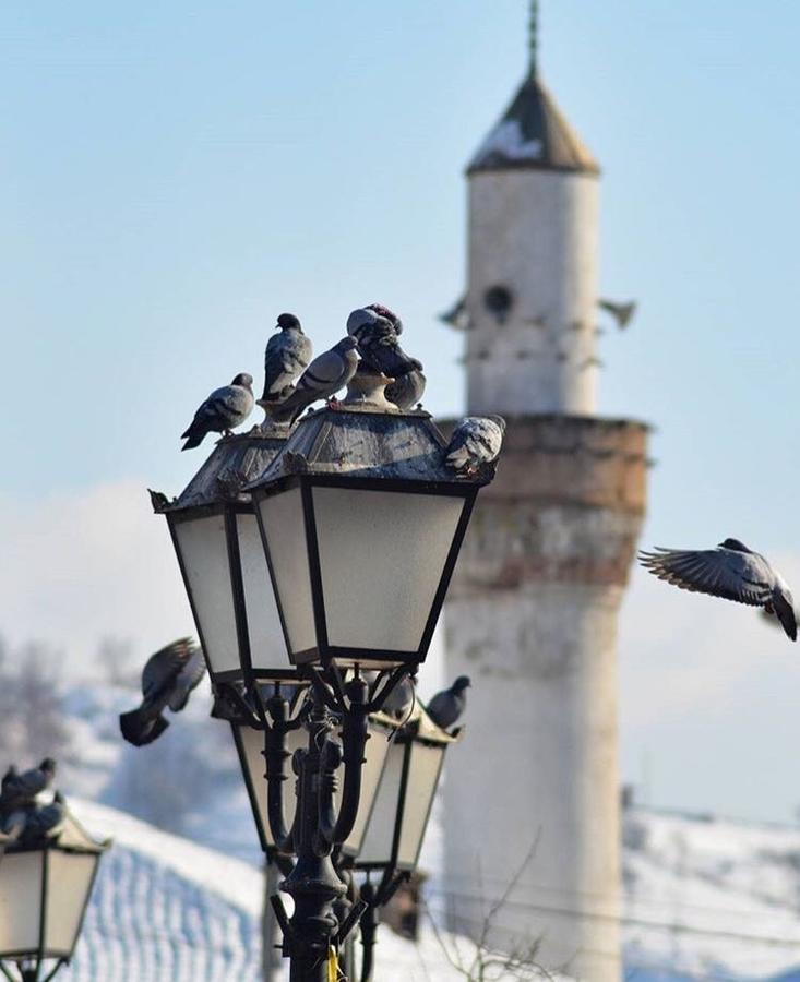 Prenociste Dm5 Bed & Breakfast Yeni Pazar Dış mekan fotoğraf